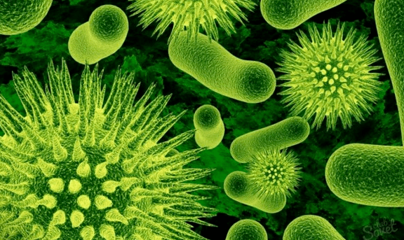 Virus causados ​​por parásitos